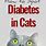 Diabetic Cat Symptoms