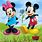 Disney Mickey Minnie Mouse