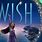 Disney Wish DVD