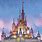 Disney World Castle Art