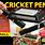 Dit Cricket Pen