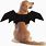 Dog Bat Wings
