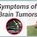 Dog Brain Tumor Symptoms