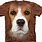 Dog Face T-Shirts