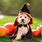 Dog Halloween Party Ideas