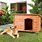 Dog House Shelter