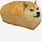 Dogo Loaf