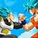 Dragon Ball Z Goku and Vegeta Super Saiyan