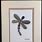 Dragonfly Pebble Art