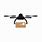 Drone Delivery Logo