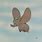 Dumbo Elephant Fly