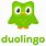Duolingo Icon.png