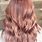 Dusty Rose Hair Color