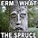 ERM What the Spruce Meme