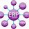 ERP System Examples