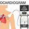 Echocardiogram Clip Art