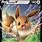 Eevee Evolutions Cards