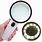 Electronic Magnifying Glass