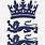 England Cricket Board Logo