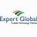 Expert Global Solutions Vision