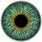 Eye Iris Texture