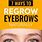Eyebrow Regrowth