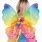 Fairy Wings for Kids