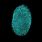 Fake Fingerprint