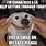 Fake Smile Dog Meme