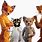 Fantastic Mr. Fox Family