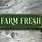 Farm Fresh Sign