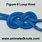 Figure Eight Loop Knot