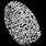 Fingerprint Hawfive O