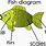 Fish Diagram for Kids