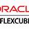 Flexcube Logo