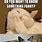Flirty Cat Memes