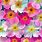 Floral Wallpaper 1920X1080
