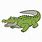 Florida Gator Alligator Drawing