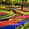 Flower Garden in Amsterdam