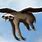 Flying Sloth