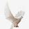 Flying White Dove Clip Art