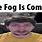 Fog Is Coming