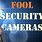 Fool Security Camera