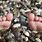 Foot Pebbles