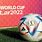 Football World Cup 2022