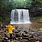 Four Waterfall Hike Brecon Beacons