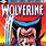 Frank Miller Wolverine Art