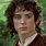 Frodo Face