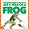 Frog Life Cycle Book