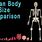 Full Size Human Body